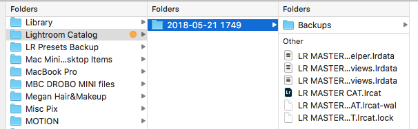 Screen Shot folder where .lrcat is located.png